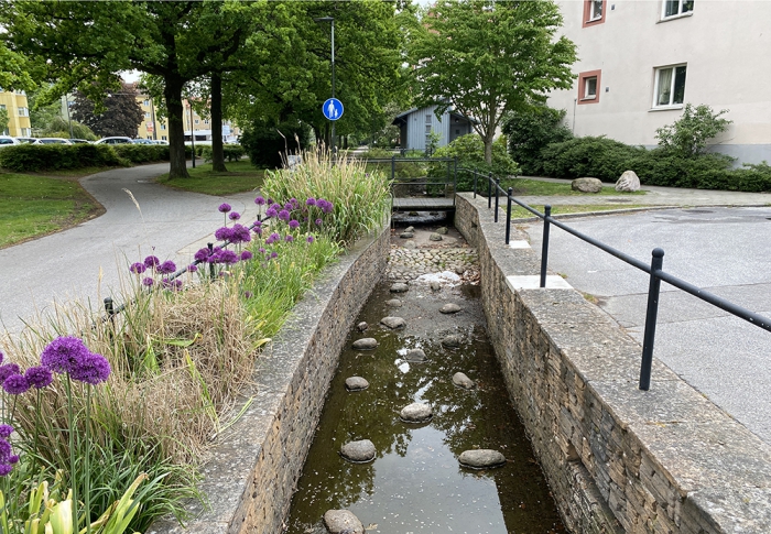 ExtremvaÌ�der_vattenkanaler Augustenborg (1)